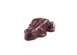 Chokoladefrø - Karamel