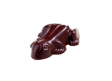 Chokoladefrø - Helstøbt mørk chokolade